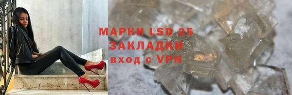 стафф Алзамай