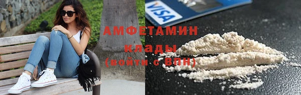 стафф Алзамай