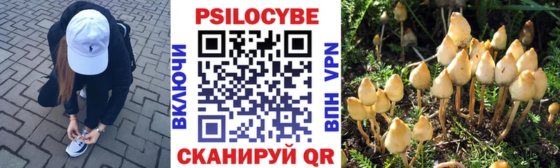 это состав  Краснозаводск  Галлюциногенные грибы MAGIC MUSHROOMS 